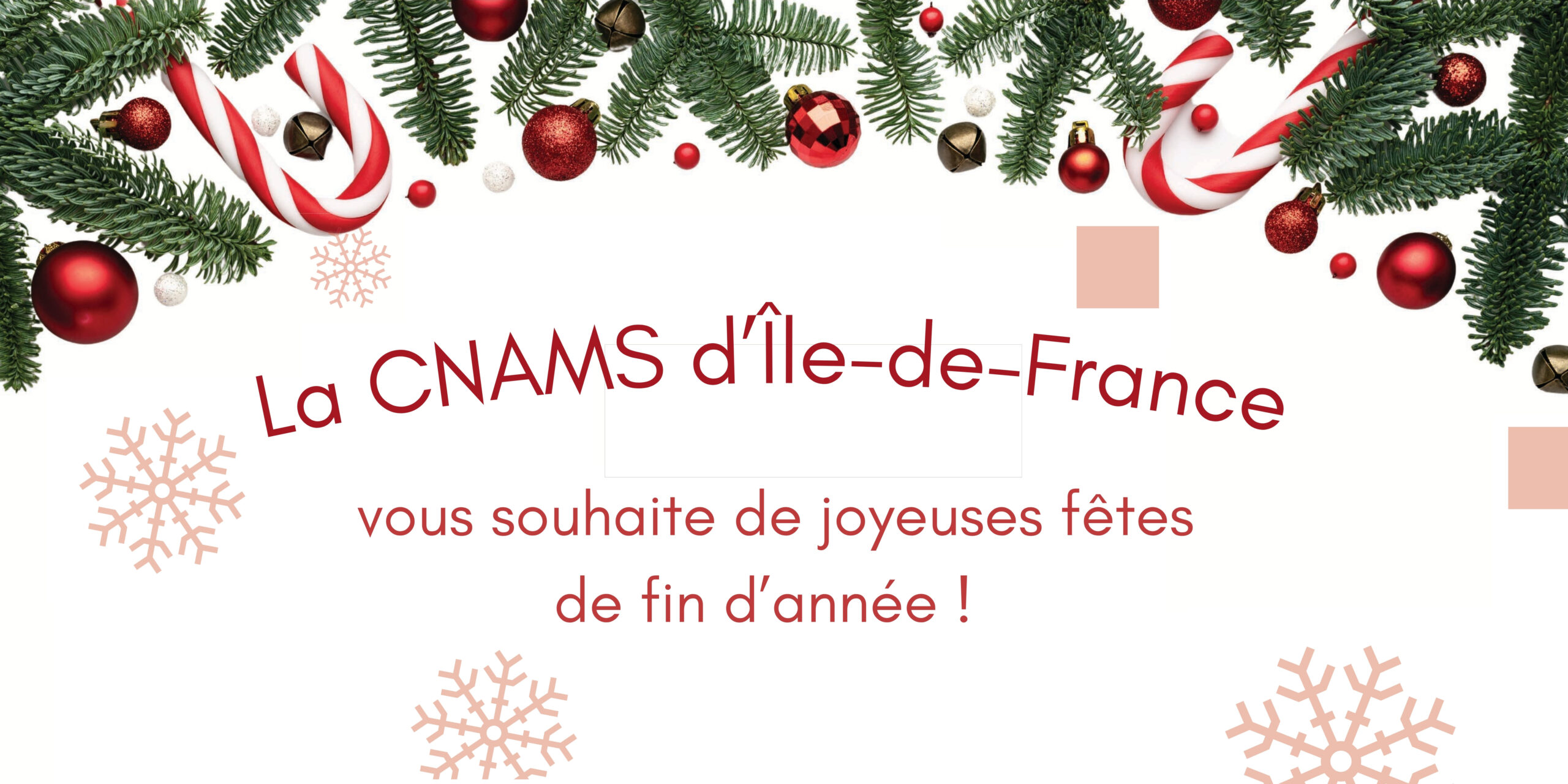 Des vœux de fin d&rsquo;année de la part de la CNAMS Île-de-France